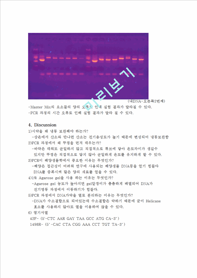 [자연과학] 실험보고서 - 해양 미생물 DNA를 이용한 PCR 전기영동 실험   (3 )